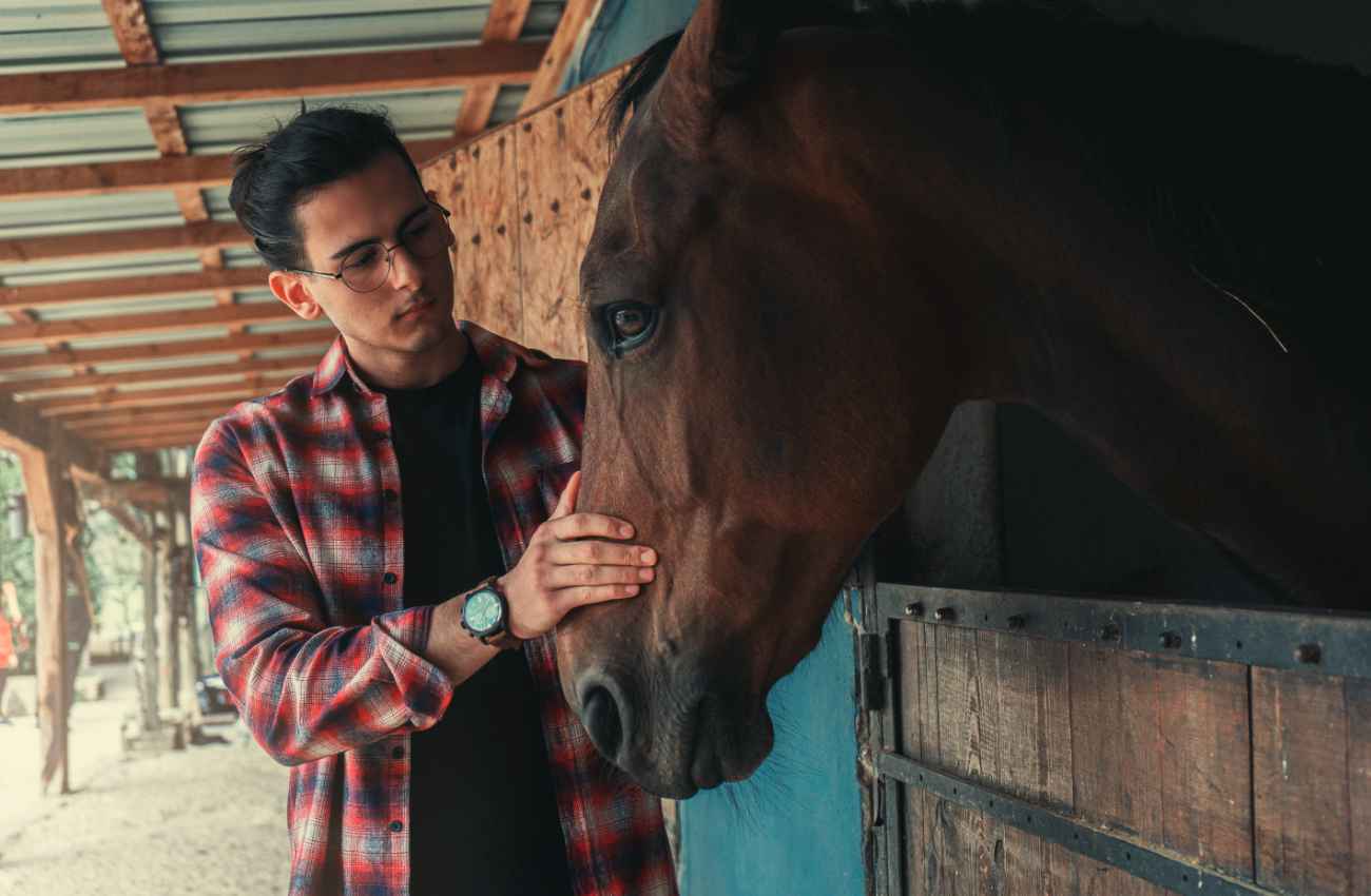 Un homme et un cheval dans une écurie