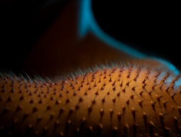 Pourquoi vous avez parfois des frissons sans froid : ce mécanisme méconnu