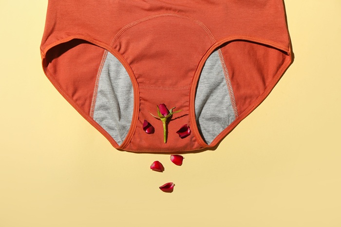 Protections menstruelles sans perturbateurs endocriniens : ce que la science recommande en 2026
