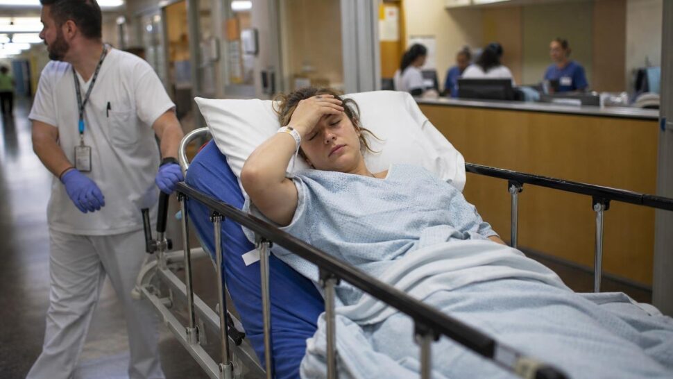 Une randonneuse de 29 ans hospitalisée après une morsure de tique passée inaperçue