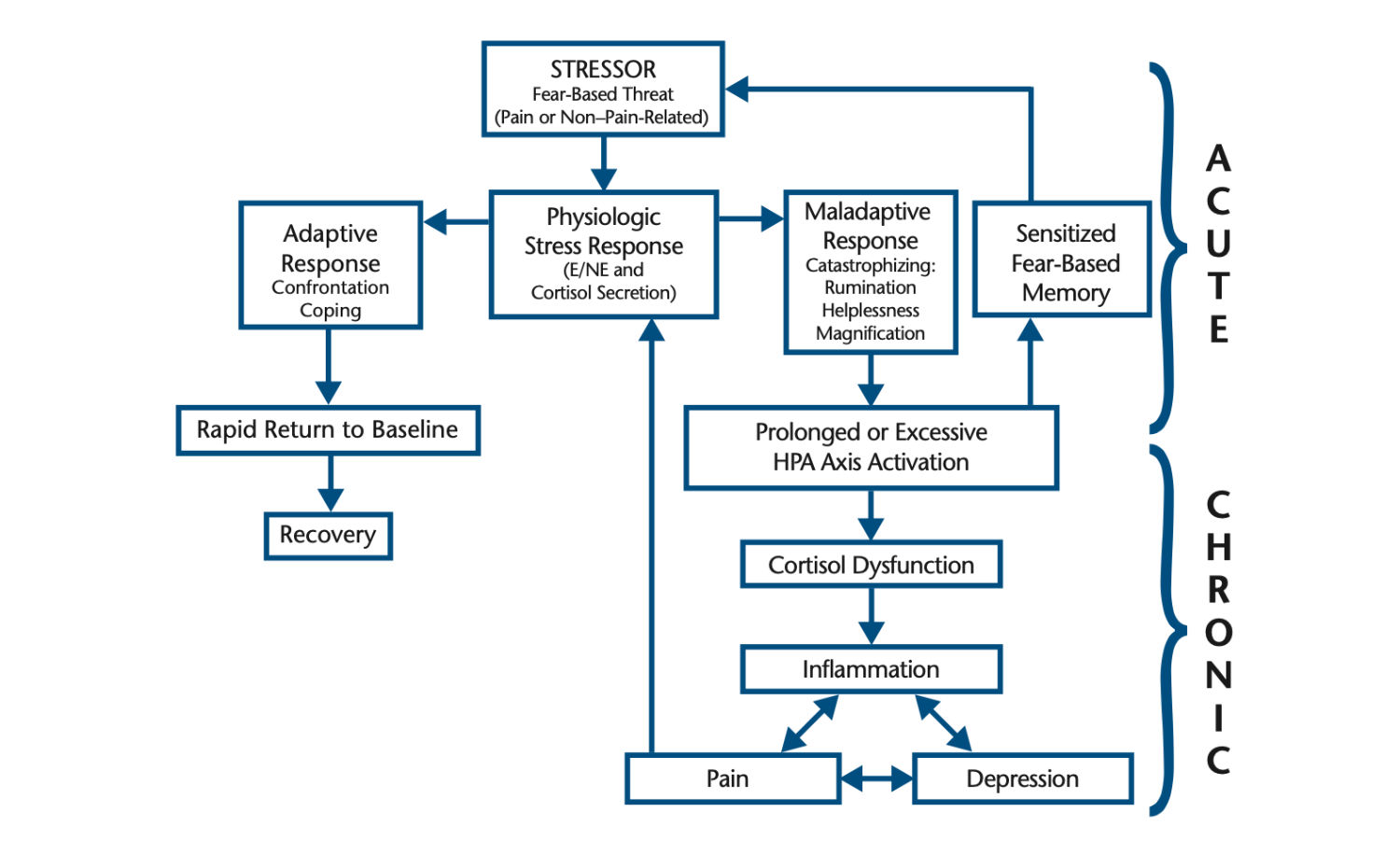 Chronic Stress, Cortisol, and Pain