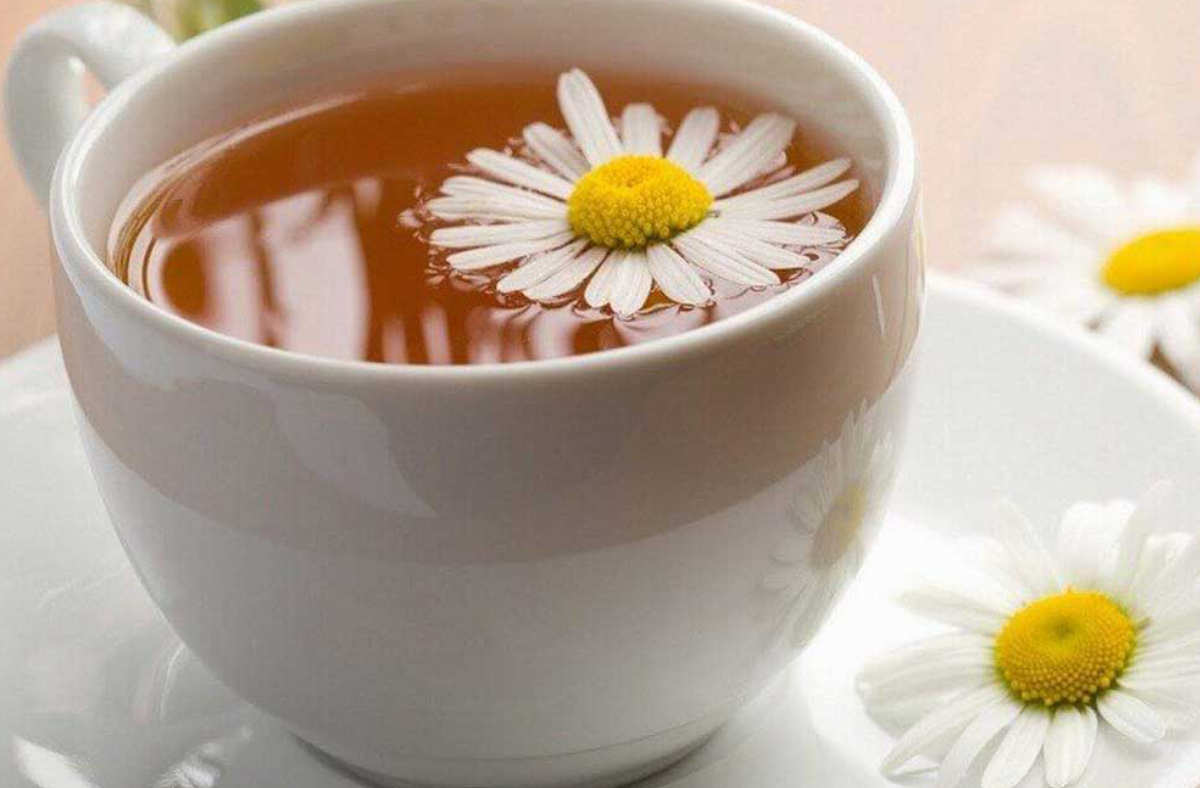 Camomille : tisane de fleurs de camomille