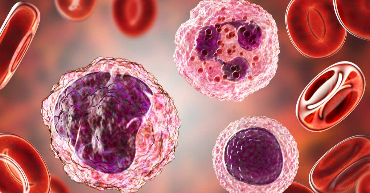 Monocytes hauts : interprétation et causes | Le Guide Santé