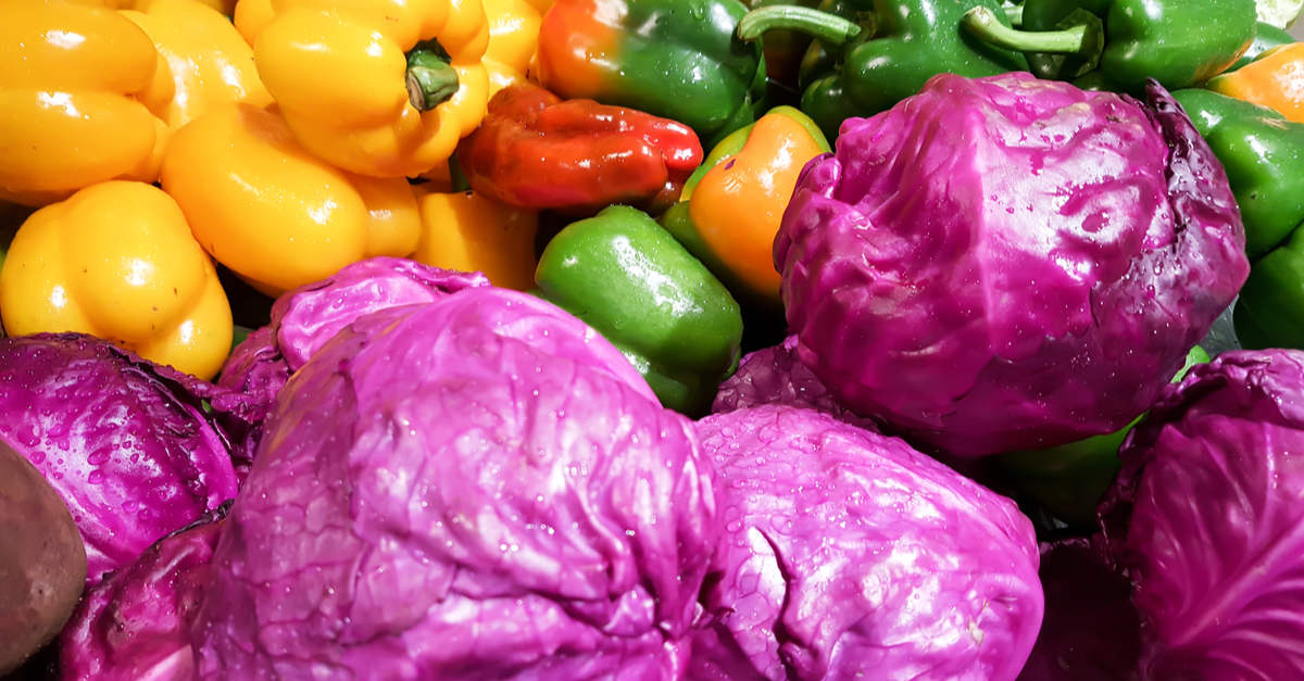 Nutrition anticancer