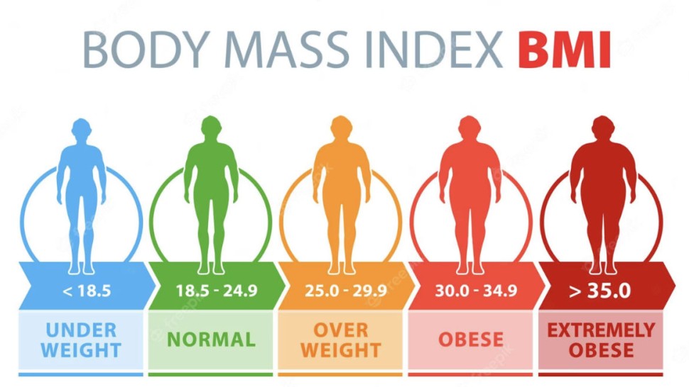 BMI definition