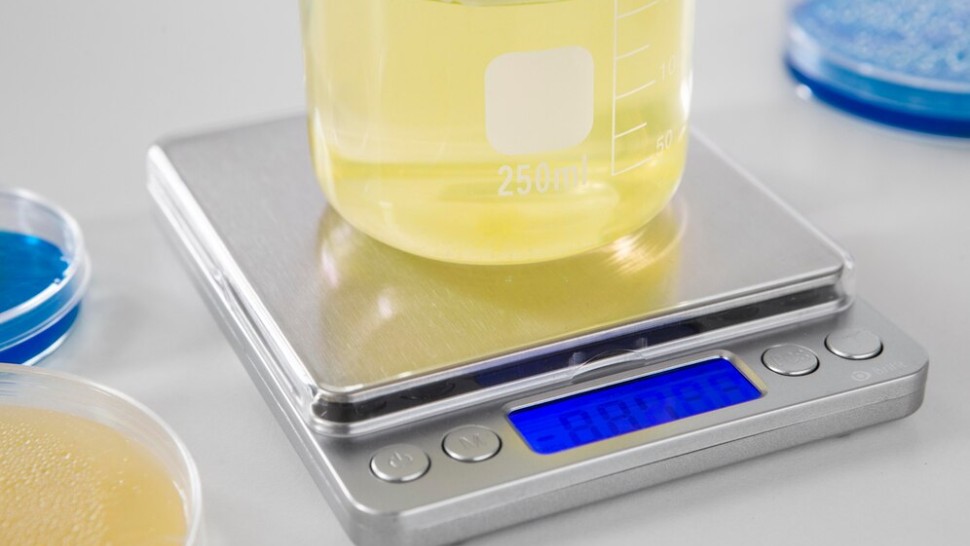 Systèmes innovants de délivrance de médicaments pour le traitement de l'obésité