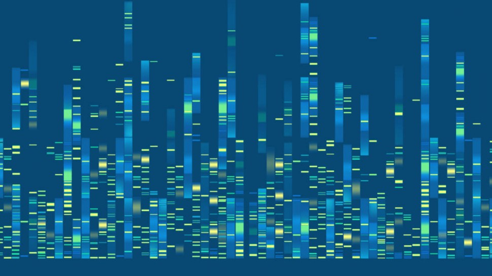 Image d'une banque de données en génétique moléculaire