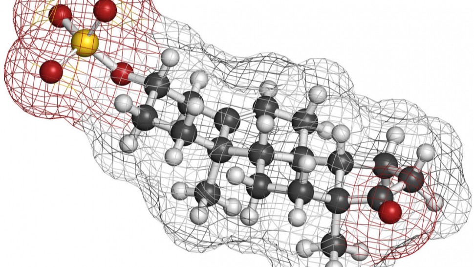 DHEA et ménopause