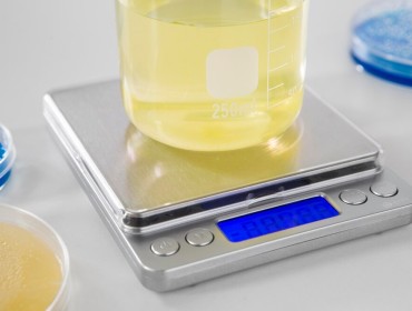 Systèmes innovants de délivrance de médicaments pour le traitement de l'obésité