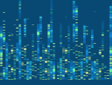 Image d'une banque de données en génétique moléculaire