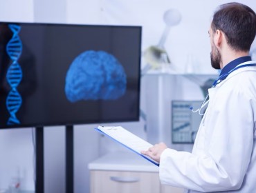 médecin en train d'examiner un cerveau