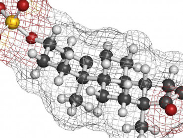 DHEA et ménopause