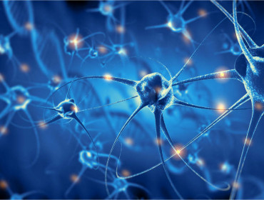 Réseau des neurones 