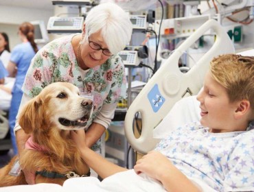 Séance de zoothérapie canine d'un enfant hospitalisé 